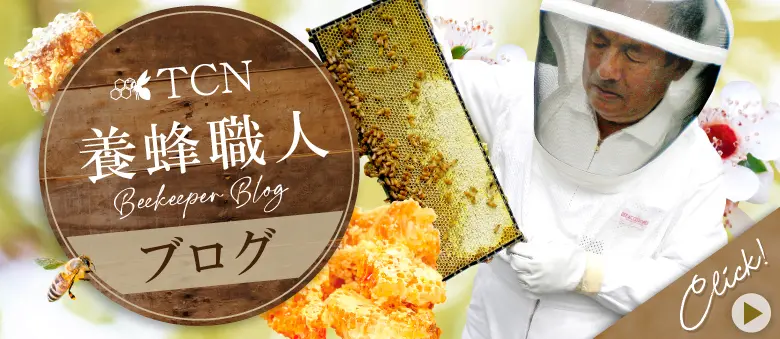 養蜂職人ブログを読む