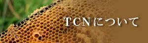 TCNについてを読む