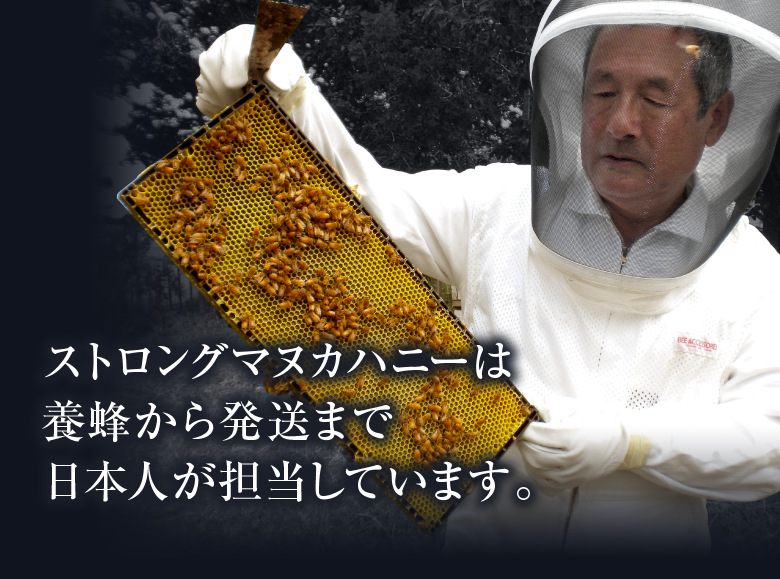 ストロングマヌカハニーは養蜂から発送まで日本人が担当しています