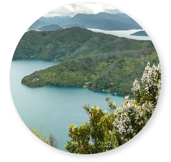 ニュージーランド風景イメージ