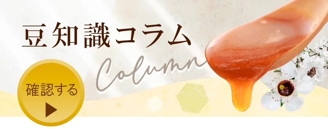 豆知識コラムを読む
