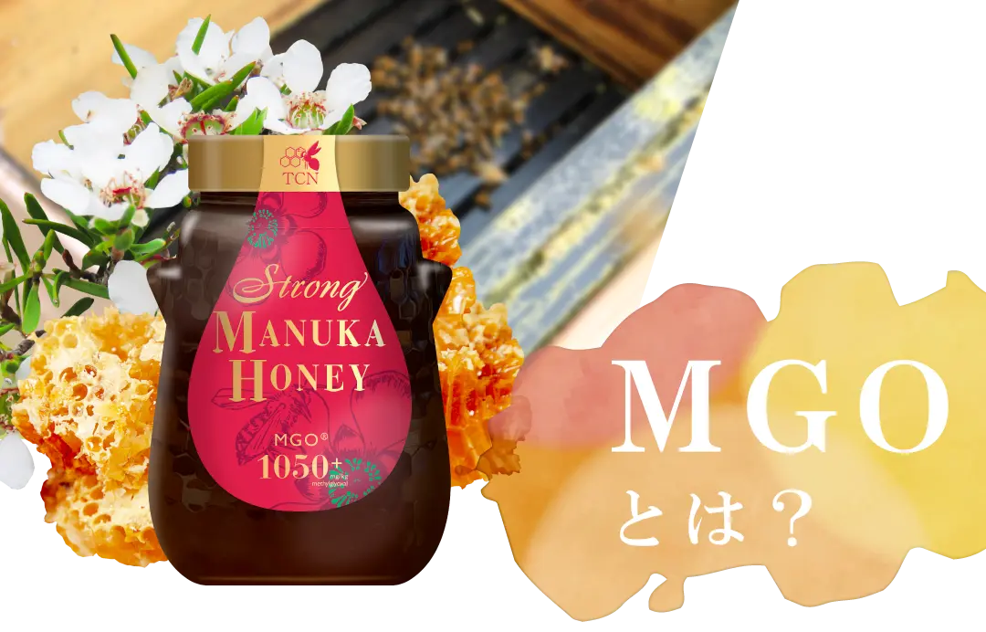 MGOについて | TCNオンラインショップ