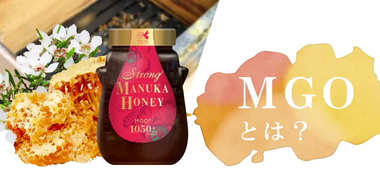 MGOとは？