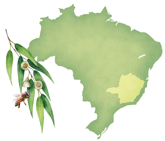 ブラジルの地図イメージ
