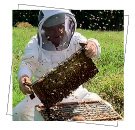 養蜂職人「辻　重」の作業風景