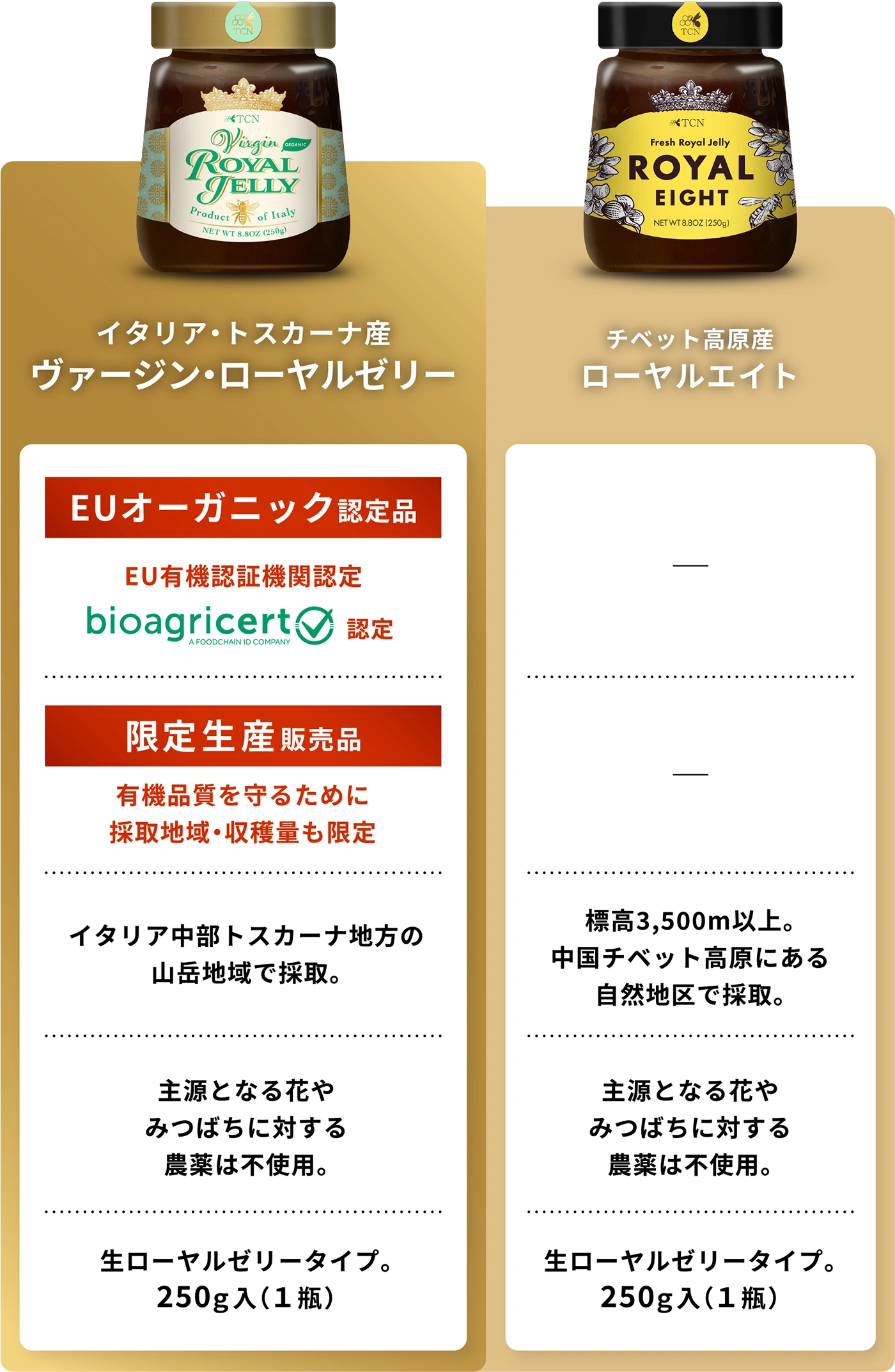 比較図