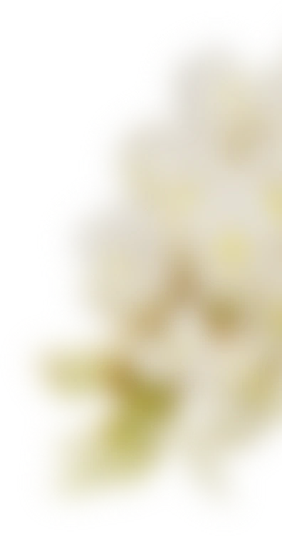 装飾